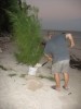 costa maya christmas tree4_1.JPG